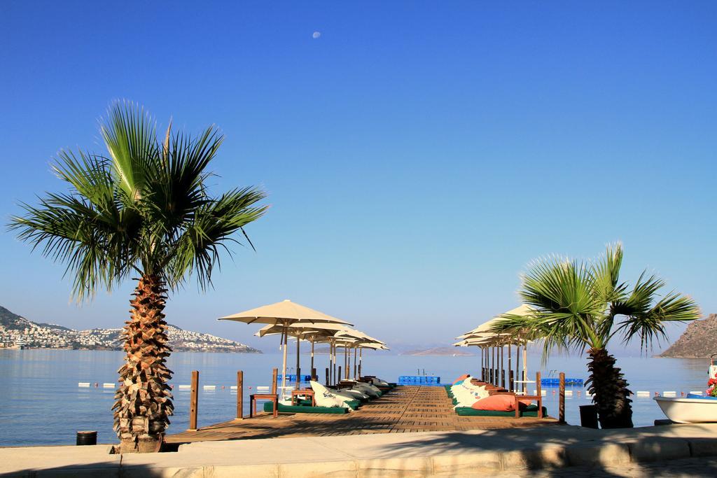 Elite Hotel Bodrum Yalıkavak Exteriör bild
